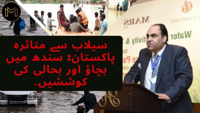 Flood Affected Pakistan: Rescue and Rehabilitation efforts in Sindh