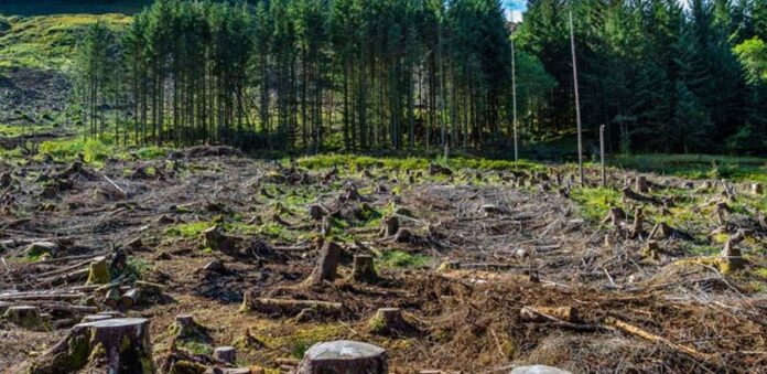 From Master Plans to Environmental Harm: Pakistan’s Accountability Gap