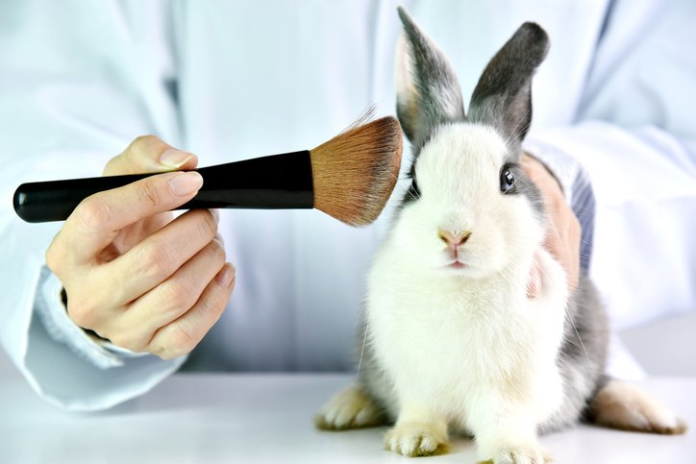 Mexico cosmetic animal testing ban and cruelty-free beauty